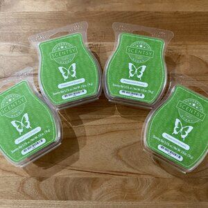 Scentsy Peppermint Dreams Wax Bar